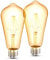 B.K.Licht - 2er Set LED Lampe E27 mit extra warmweißer Lichtfarbe, ST64 Form, 4 Watt, 380 Lumen, Glühbirne, Leuchtmittel, LED Birne, Vintage, Retro, Edison, 14,3x6,4 cm, Bernsteinfarbig