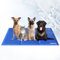Kühlmatte für Hunde und Katzen, Haustier-Kühlmatte, ungiftiges Gel, selbstkühlend, für Box und Körbchen, perfekt für heiße Sommertage, Größe 2XL (120 x 80 cm)