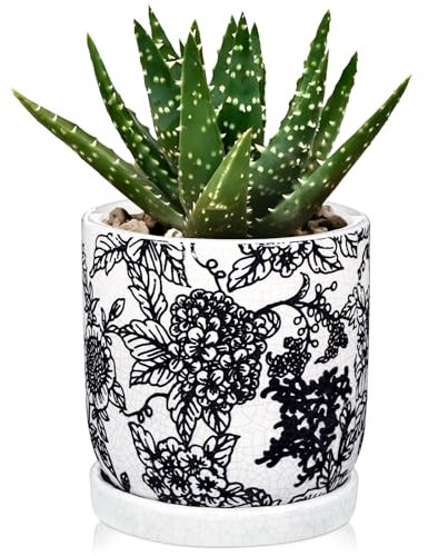 Hollyone Pot de fleurs en céramique noire de 14 cm avec soucoupe et trou de drainage, pot de fleurs décoratif avec vernis craquelé, poterie de fleurs faite à la main pour plantes grasses, cactus