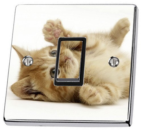 Chat Chaton lumière Interrupteur Mural Stickers Vinyle (84 mm)