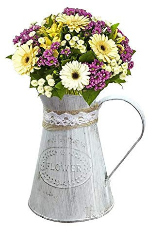 Iron Vase Vintage Tin Bucket Flower Retro Metal Jugs for Home Office Decoration Country Style