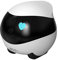 Enabot EBO SE Telecamera per Animali Domestici in Movimento 1080P, connettività Wi-Fi, Visione Notturna, Auto-Crociera, Auto-Ricarica, rilevazione del Movimento, Audio a 2 Vie