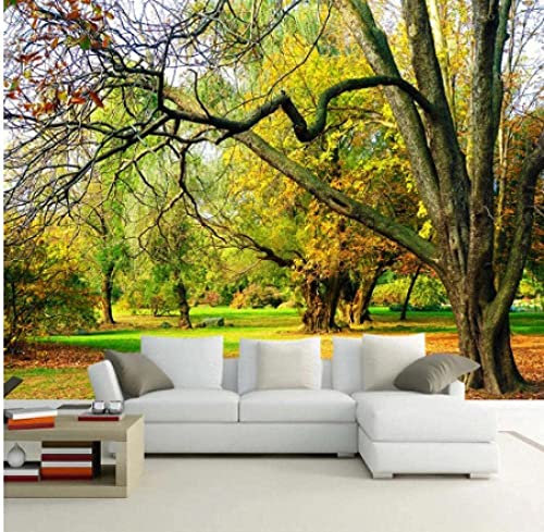 3D Selbstklebende Leinwandtapete Großes Wandbild Fototapete Bäume Wald Herbstlandschaft Poster-Tapete, Dekoratives Wandbild, Heimdekoration Für Teenager-Schlafsaal, Jung 400 (Breite) x 280 (Höhe) cm