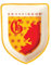Wizarding World of Harry Potter Grifondoro Piatto