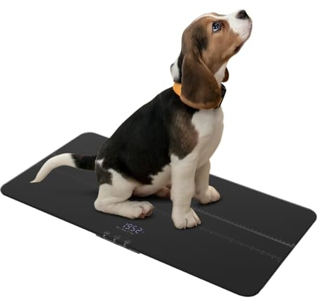 Digitale Hundewaage Haustierwaage Tierwaage für Große Hunde Katzen Max. 100kg 10g Genauigkeit LCD-Anzeige 3 Wiegemodi kg lb oz USB-Aufladbar Tara Haltefunktion Breite Plattform (schwarz)