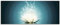 ARTland Wanddeko Glasbilder Wandbild Glas Bild einteilig 125x50 cm Querformat Asien Botanik Blumen Blüten Lotusblume Seerose Modern türkis T9NM