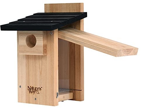 NATURES WAY BIRD PRODUCTS CWH4 Cedar Bluebird Viewing House