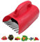 Raccoglitore per bacche – Efficiente paletta per mirtilli, rastrello per mirtilli, pettine per raccogliere bacche adatto per la raccolta delle bacche da giardino e agricoltura, strumento portatile per