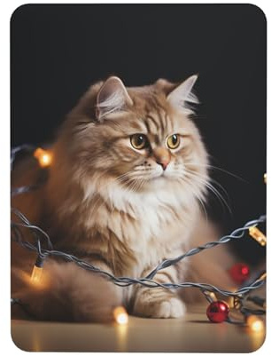 Fridge Magnets Waterproof Heavy Duty Small Magnets for Fridge A cat and Christmas lights Refrigerator Magnets Mini Rectangular Cute Decorative Magnets for Crafts Home Kitchen Office Whiteboard Decor