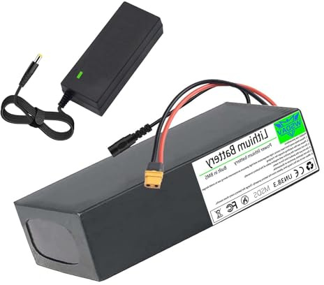 WSDAV Batterie Lithium 25,2 V/29,4 V, Batterie pour cyclomoteur électrique 24 V/36 V, Batterie 48 V 8 Ah/10 Ah/12 Ah/15 Ah/20 Ah avec Chargeur pour Moteur de 50 à 1 000 W,25.2v 10ah,XT60