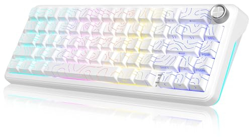 RedThunder K65 Kabellose Mechanische Gaming Tastatur, QWERTY, RGB, Gasket Struktur, BT/USB-C/2,4GHz, Hot-swap, Seitlich Graviert, 65% Gaming Tastatur für Windows, Mac, Xbox, PS. (Weiße Kontur)