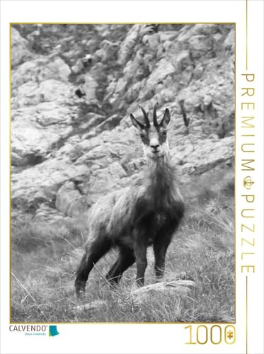 CALVENDO Puzzle EIN Motiv aus dem Kalender Wilde Bergwelt in Europa | 1000 Teile Lege-Größe 48 x 64 cm Foto-Puzzle für glückliche Stunden