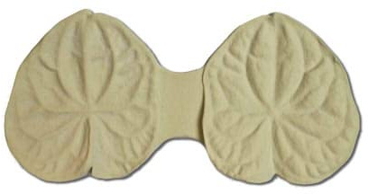 Anthurium Petal veiner