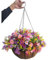Maison et extérieur chaîne en Soie Panier Suspendu Fleurs Pot de Fleurs Bricolage Marguerite Artificielle Fleurs Rouges et Fleurs Roses Violet (Grand Panier)