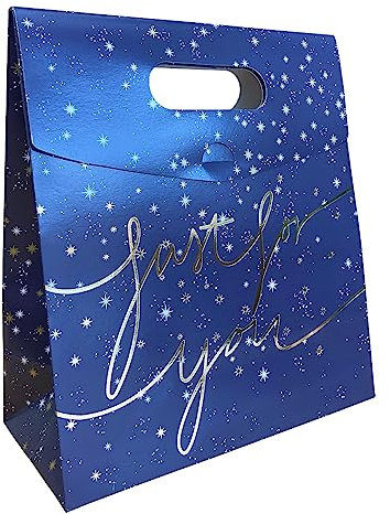 Pack of 12 Medium-Sized Luxurious Gift Bags - Universal Design Fold Over Celebration Bags - Just For You Luxury Gift Bag By Kissymix