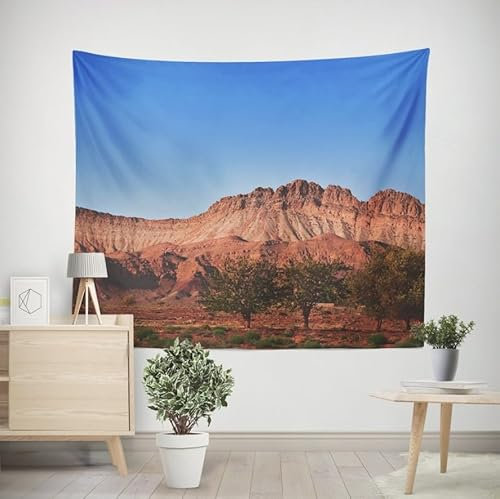 EHOMERY Zeichen Wandbehang Strandtuch Groß Berge Und Flüsse Wandteppich Modern Art Wandtuch Schlicht Wohnzimmer Schlafzimmer Wandbehang Dekoration 300x250cm