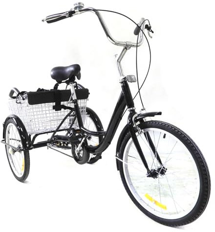 NIGORIY 20 Zoll Dreirad für Erwachsene, Hochkohlenstoffhaltiger Stahl, Fahrrad 3 räder mit Kindersitz 120kg Tragfähigkeit, Dreiräder Ausgestattet Korb
