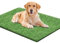 SSRIVER 80x100CM People di erba falsa per cani cuscinetto di erba artificiale per tappetino erba lavabile da vasino cucciolo per allenamento per con foro di drenaggio e facile da pulire