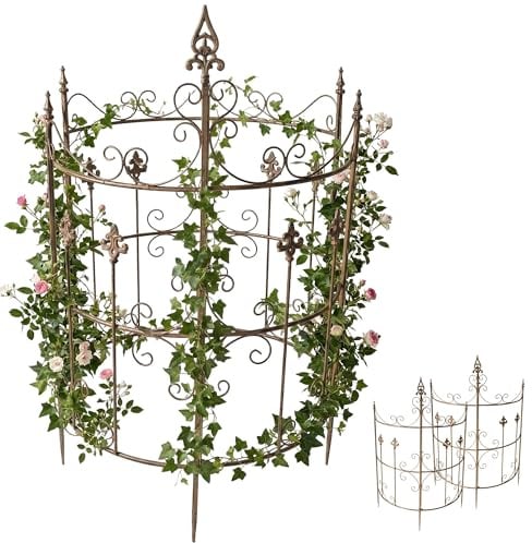 CLP Rankgitter Metall 2er Set Klivia, dekorative Rankhilfe mit Zierspitzen, leicht montierbar, ideal für Rosen und Clematis im Garten Farbe braun
