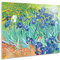 Giallobus - Cadre - Vincent Van Gogh - Iris - Verre Acrylique - 70x50 - Prêt à accrocher - Peintures Modernes pour la Maison
