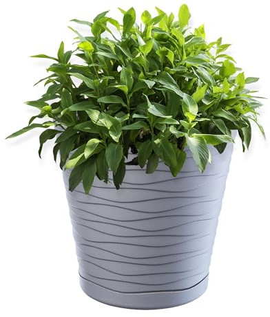 KADAX Flower Pot con sottobicchieri, fioriere per all'interno, vaso di fiori leggeri, pentola di pianta di plastica, trama rotondo per fiori, piante, casa, fioriera (30 cm, grigio)