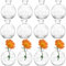 SOUJOY Set of 12 Small Glass Ball Bud Vase, Unique Mini Low Sitting Flower Vase, Clear Floral Centerpieces for Home Decor, Weddings, Floral Arrangements, Events, Parties