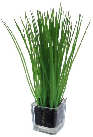 Kunstblumen Gras, Grasbusch mit Wurzelballen ca 23 cm. IM Glas ca 5 x 5 cm.