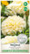 WegAna Seeds Calendula bassa Kilimanjaro bianca 0,5g - Piante da giardino a fiore grande Piante da balcone Piante da pascolo per api Semi di fiori
