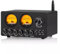 Douk Audio 5 Band Equalizer Bluetooth EQ Vorverstärker für Heimstereo/Computer-Lautsprecher/Verstärker mit VU-Meter (EQ5-TONE Upgraded Version)