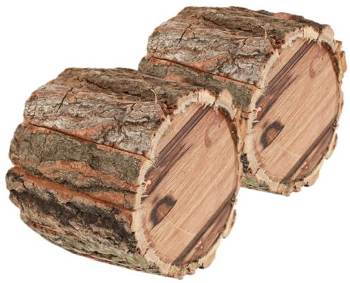 2 vasi per fiori e piante grasse, in corteccia, rustico, naturale, per cactus, 12 cm