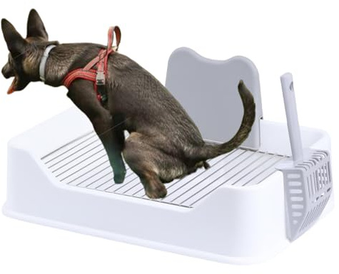 Bac à urinoir d'intérieur pour chien, pot de dressage pour chien | Toilettes en maille pour chiots, entraînement à uriner en intérieur, pot pour chien, support pour uriner