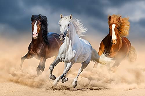 PFERDE Fototapete VLIES-250x186 cm (4262A)-Natur Landschaft Pferd Pony Cowboy Kinder Tiere Wandtapete-Inkl. Kleister-Vliestapete Bild Dekoration Wand-Dekor Moderne Motiv-Tapete Panorama Poster XXL