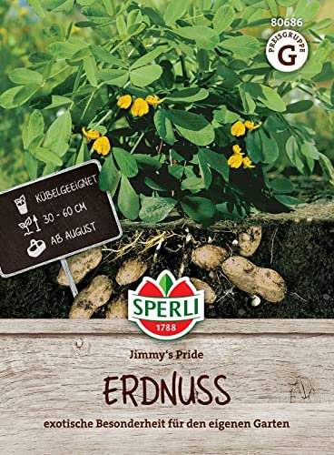 Sperli Erdnusssamen Jimmy's Pride 80686 - Samen für eine exotische Besonderheit für den eigenen Garten mit Inhalt für 5 Pflanzen und einer Wuchshöhe von 30 bis 60 cm - Saatgut