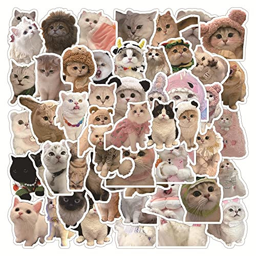 60 Stück Katze Aufkleber Auto Laptop Telefon Gitarre Skateboard Motorrad Fahrrad Cat Stickers Set Vinyl Wasserdicht Aesthetic Aufkleber für Jugendliche Kinder Erwachsene