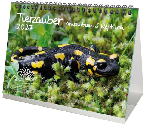 Tierzauber Amphibien und Reptilien DIN A5 Tischkalender für 2027 - Seelenzauber