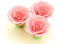 Rosen 35mm rosa Zucker 3 Stück