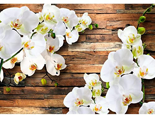 Runa Art Fototapete 3D Orchidee Holz 352 x 250 cm Vlies Tapeten XXL Moderne Wandtapete Wohnzimmer Schlafzimmer Weiss 9057011a