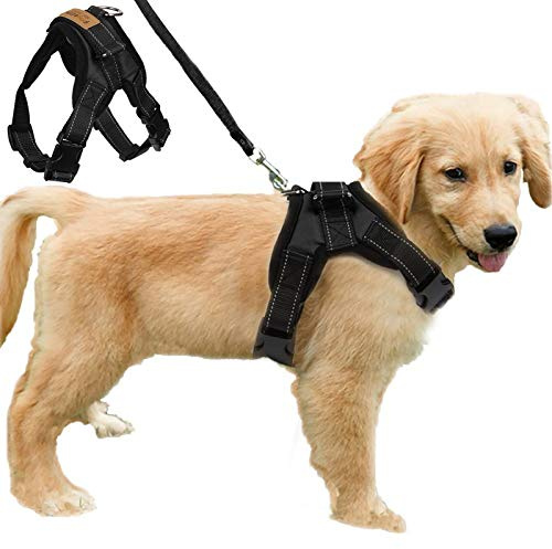 No Pull Dog Vest Harness Padded Adjustable Dog Chest Strap for Outdoor Walking Travelling Traning Assistance (M, Black)