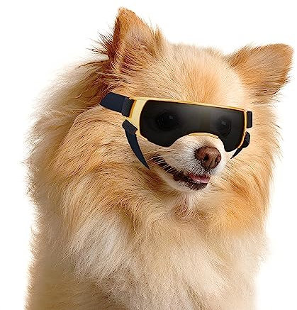 Enjoying Sonnenbrille für kleine Hunde, UV-Schutz, Winddicht, beschlagfrei, goldfarben