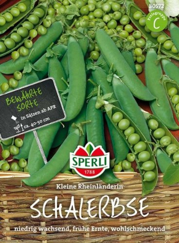 Schalerbse Kleine Rheinländerin, frühe Sorte