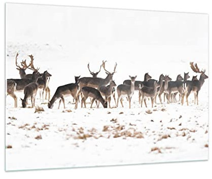 Bilder auf Glas 100x70cm Glasbild Hirsch Winter Tierwelt Landschaft Groß Wanddeko Bild im Glas Schlafzimmer Küche Deko Wandbilder Dekoration Wohnzimmer Modern Wand Kunstdruck Art GAA100x70-3144