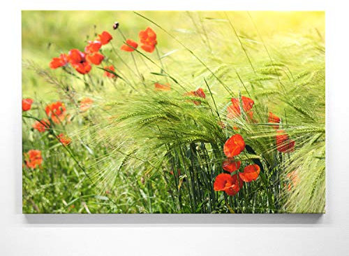Traumhafte Mohnblüte im Groß-Format 120x80cm, Mohn im Kornfeld - als großes XXL Leinwandbild. Wandbild als Hintergrund und Deko für Wohnzimmer & Schlafzimmer. Aufgespannt auf Holzrahmen