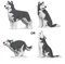 JEKCA Husky 4-in-1-Packung 01S-M04 | Hund Plastikbausteine | Alter 14+