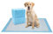 Lospitch 40 Stück Welpenunterlage Welpen Hygieneunterlagen Trainingsunterlagen für Haustiere Welpen Toilettenmatte, Super Saugfähig saugstarke Hunde-Pads Toilettenpolster Einwegurinauflage 60*60CM