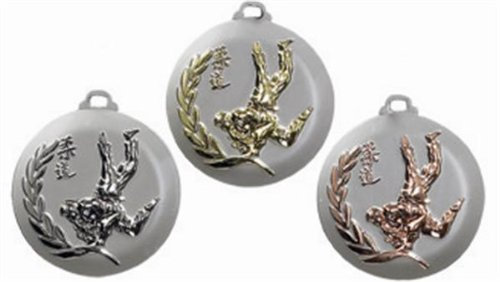 S.B.J - Sportland 3D Medaille Judo Bronze