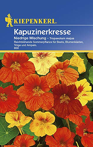 Kiepenkerl 858 Kapuzinerkresse Niedrige Mischung (Kapuzinerkressesamen)