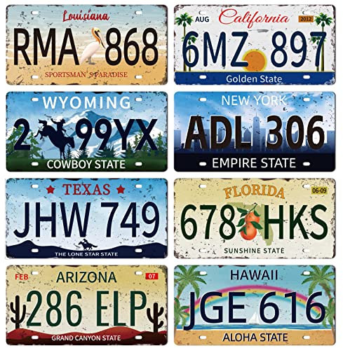 GLOBLELAND 8 Piezas Placa de Metal Vintage de Registro de Coche USA 12×6pulgadas Metal Signo Placa Retro Réplicas de Placas Reales Americanas para el Hogar Bar Cafetería Tienda Club