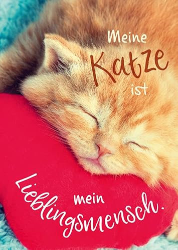 Gutsch Verlag Hochwertige Tier-Postkarte 'Meine Katze ist mein Lieblingsmensch' - Süßes Katzenmotiv, ideal zum Verschenken oder Dekorieren - Perfekt für alle Katzenliebhaber