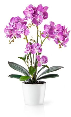 PASCH® Orchideen künstlich in Hochglanz-Keramiktöpfen (46cm) | Kunstblumen im Topf | Kunstblumen wie echt | künstliche Orchideen im Topf (Rosa)