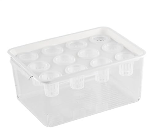 Aquaponic Planter Aquarium, Hydroponic Fish Tank, 13,78 x 9,84 Zoll Pflanzen und Fisch Combo, gesund und umweltfreundlich, Tischdekoration für nachhaltiges Wachstumssystem